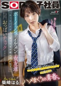 SDJS-232 มิตรภาพจางหายแอบไปจัดเพื่อน ซับไทย